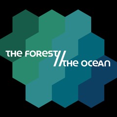 THE FOREST // THE OCEAN