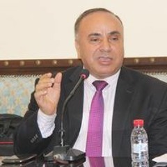 أ.د. محمد البدوي