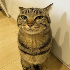Felix