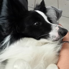 _TruFFes_