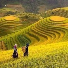 Thảo Nguyên