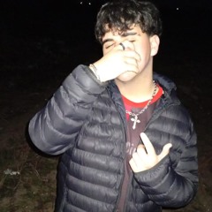 Laion GS
