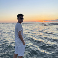 Doan The Phuong