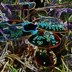 Intergalactic spores