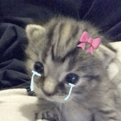 Caitlyn