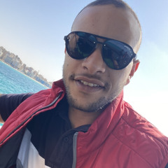 Ibrahim Shehata