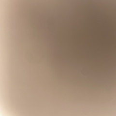 alishajayx