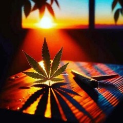 STONER🍀