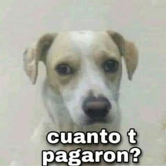Luis Cholico