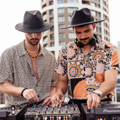 THE HIVE BROTHERS