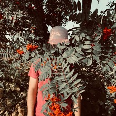 Am, tangram, pic et pic et colégram