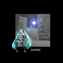 zavkie