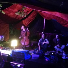 Treibholz (Lissi Cello)