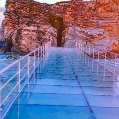 ميزو دولار