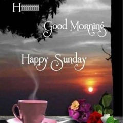 jameel shah