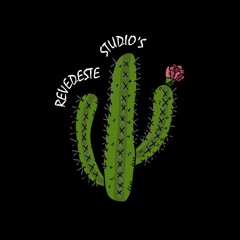 REVEDESTE STUDIOS