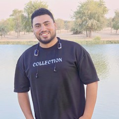 عادل عز