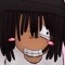 cat.webm