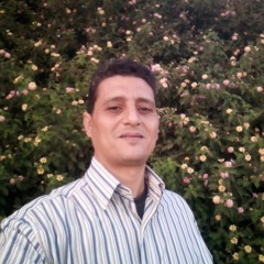 ahmed alaswy