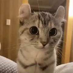 litguy56