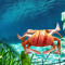 Foot Crab