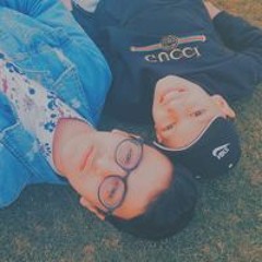 نور الدين شلتوت