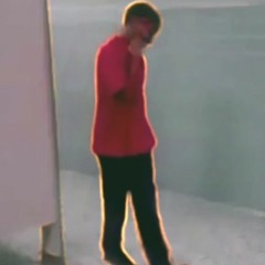 A.N.T Reanimated