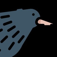 Kiwibeak