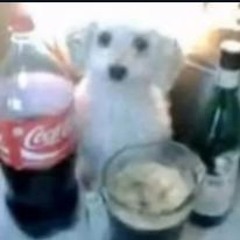 Chmo777