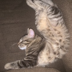 somewheredying