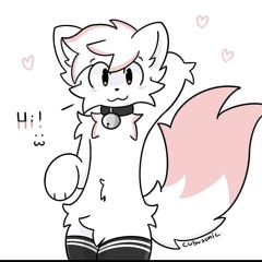 ✨MR. Silly✨