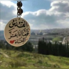 سنا برق