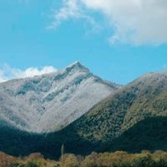 Vanichka Patiashvili