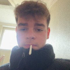 norbikanns