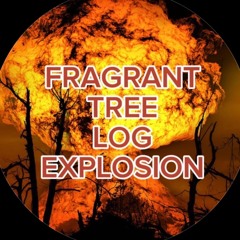 Fragrant Tree Log Explosion