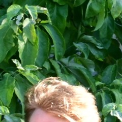 Anderdandy