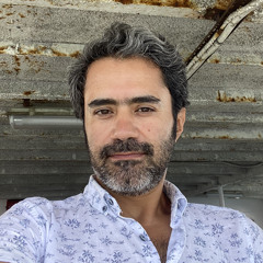 Hadi Nili