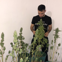 𝕮𝖍𝖆𝖗𝖑𝖊𝖘 𝕭𝖔𝖆𝖙