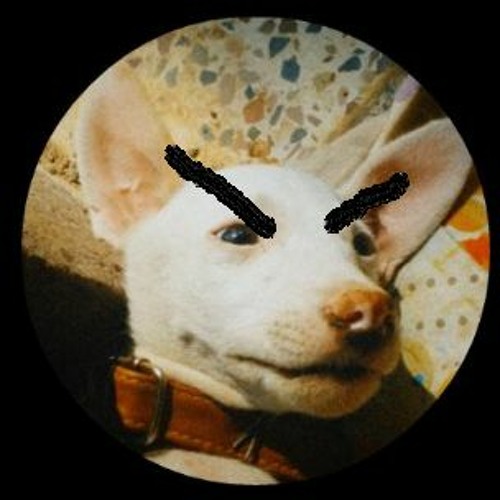 Tuttu The Dog’s avatar