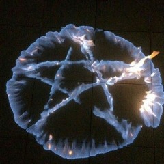 Zenith Asmodeus
