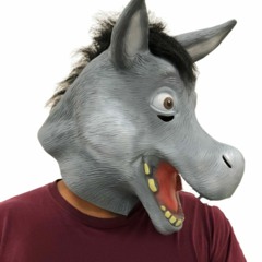 SwampDonkey333