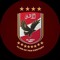 Mohamed Tamer