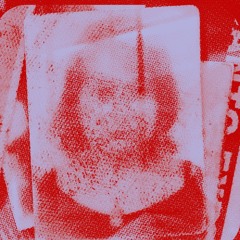 luizapads