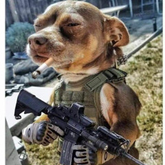 Galskap som ligger langt inni stkuen til en gnom som gnomer så hardt at han flyr