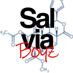 Salvia Boyz