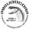 PSEUDOCORP