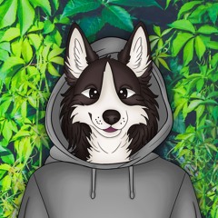 DJ WOLFY