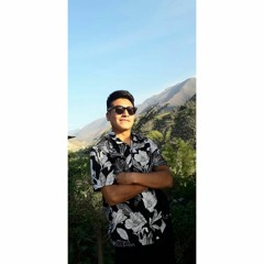 RENZO RENNE