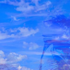 RICH de WHITTAKER-Composer