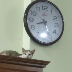 Lifelong inconvenience